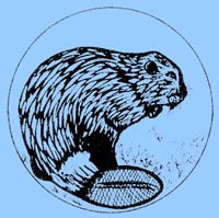 Castor
