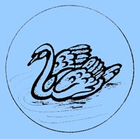 cygne