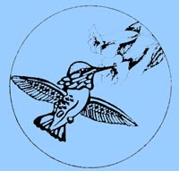 Colibri