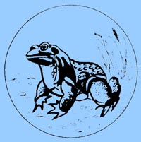 Grenouille