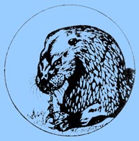 loutre
