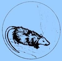 opossum