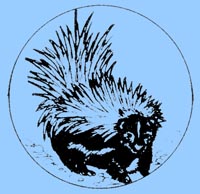 Putois