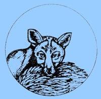 Renard