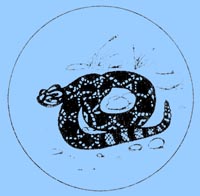 Serpent
