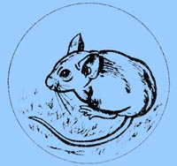 Souris