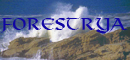 Banni`re Forestrya